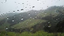 Coromandel sous la pluie